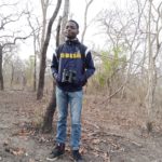 Another Lifer – Birding at the University of Ibadan